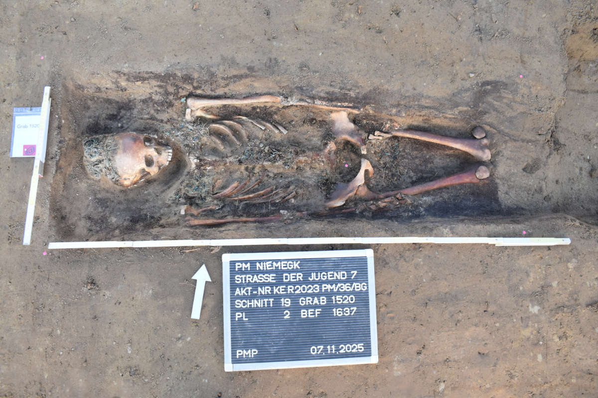 01.12.2025: Niemegk, Straße der Jugend, Aktuelle Funde